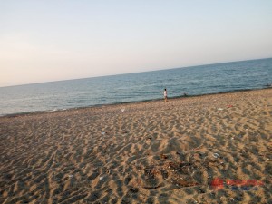 2fa42244_67ed_43b5_a0ce_ce3dd76ee54a.jpg