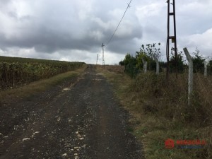 bd6e0bc4_fd80_4014_b362_fd453e3beaeb.jpg